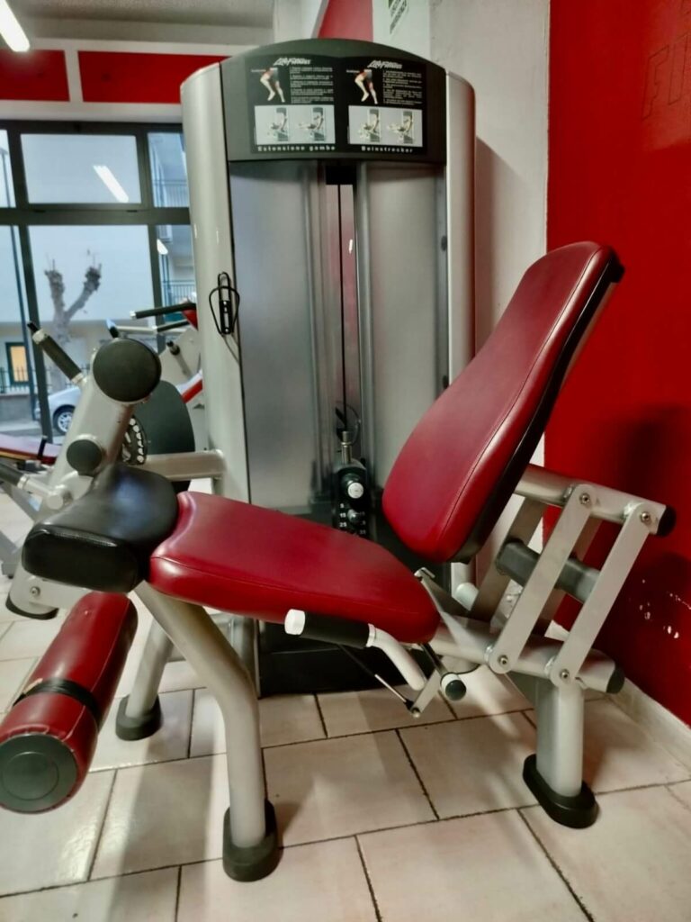 Leg extension LifeFitness Trebisacce